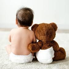 image bb et ours