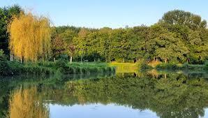 image etang