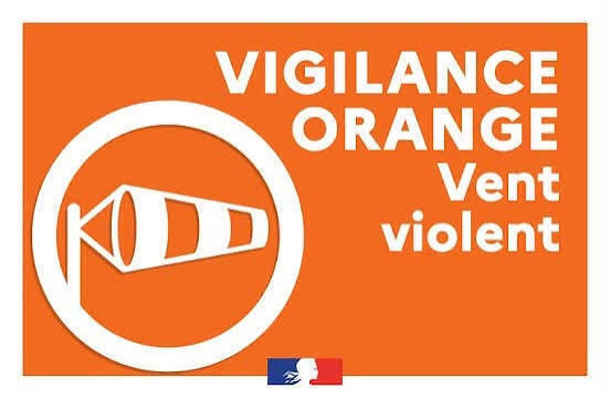 logo vigilance