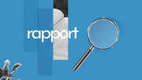 logo rapport